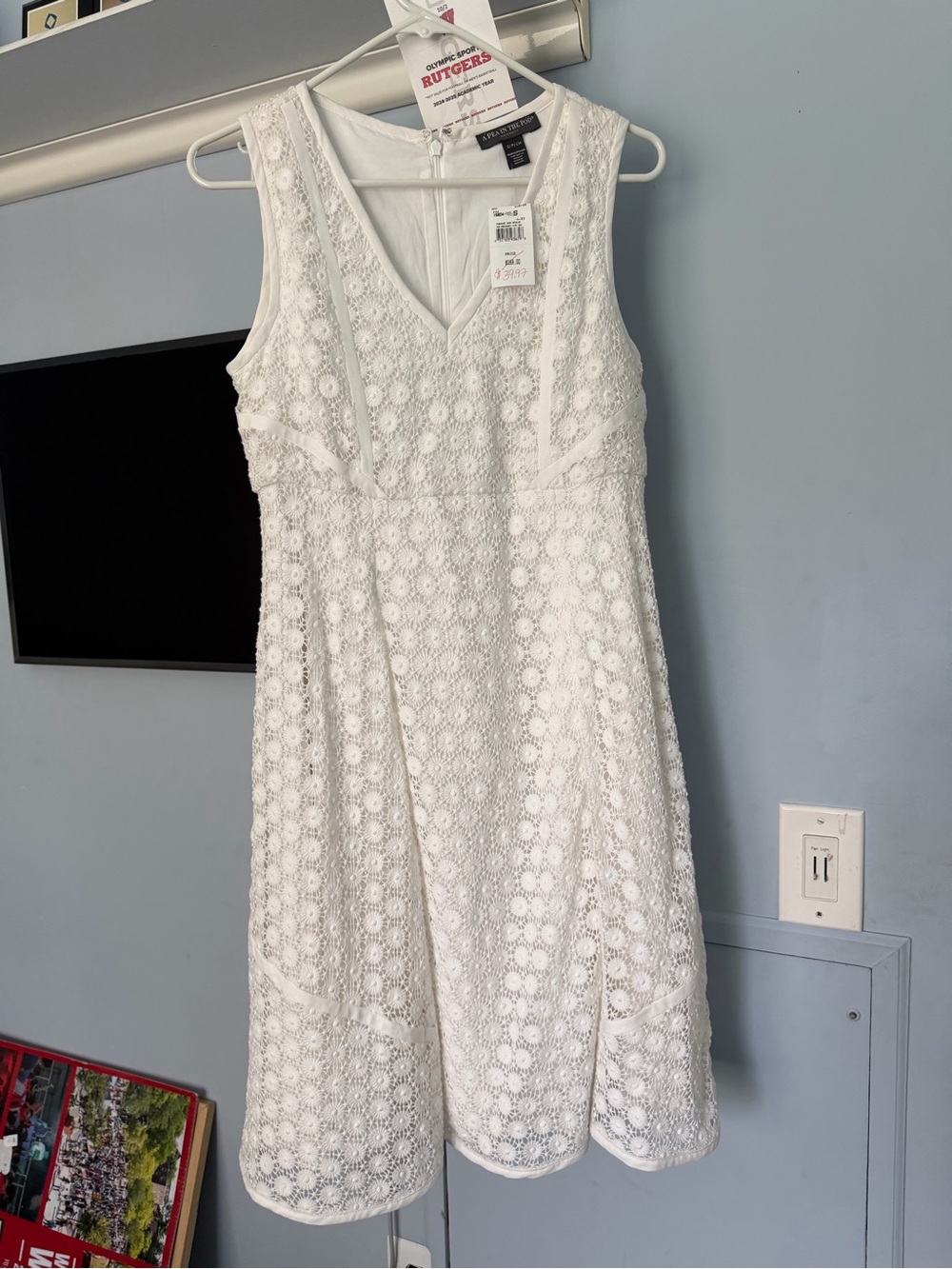Nwt A pea in a Pod pre-pregnancy dress in white embroidered